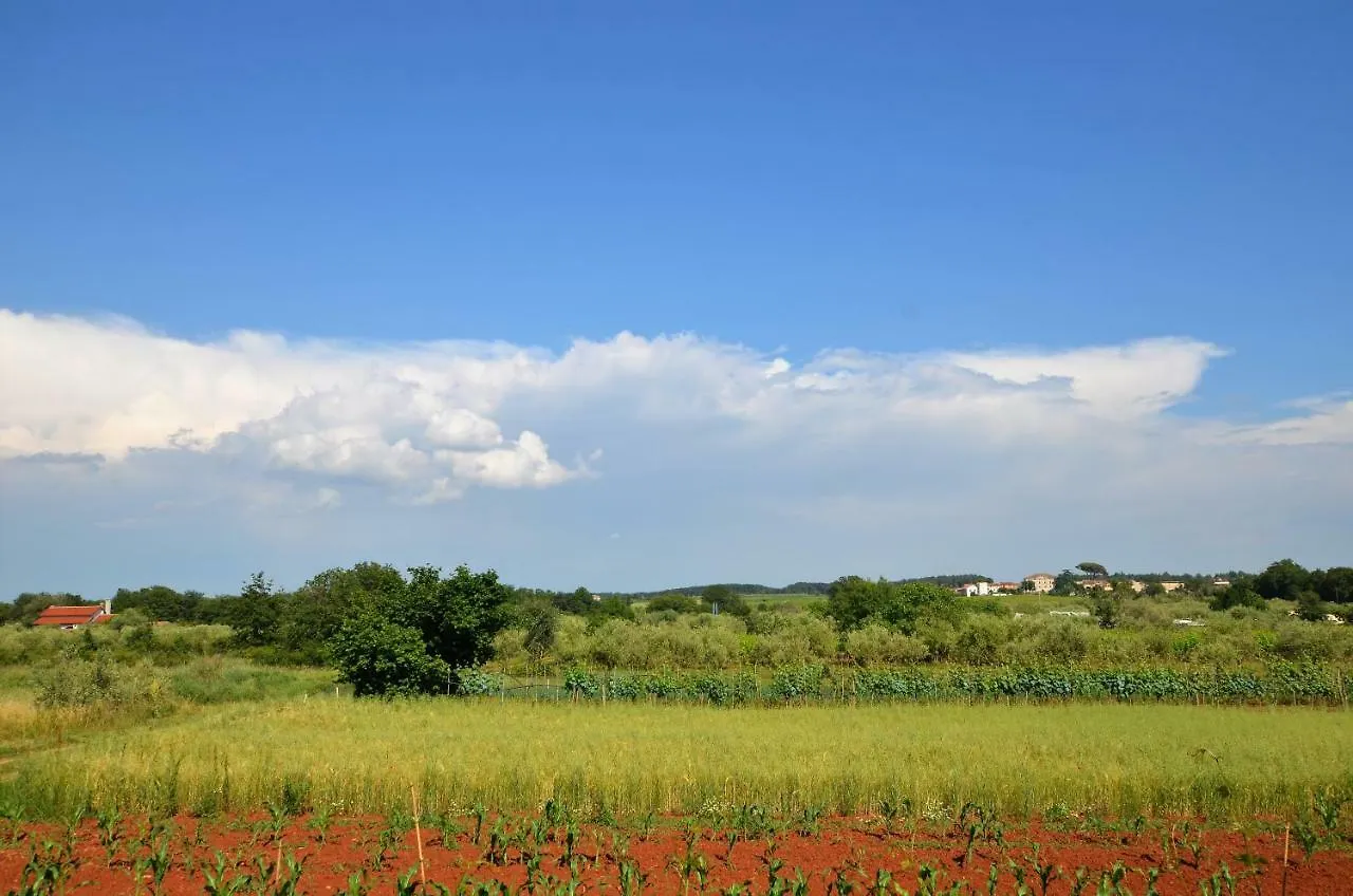 Apartments Sv. Pelegrin Umag