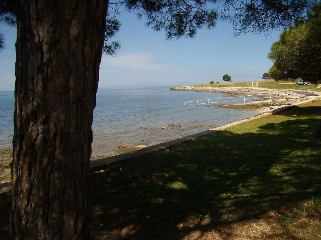 Apartments Sv. Pelegrin Croatia
